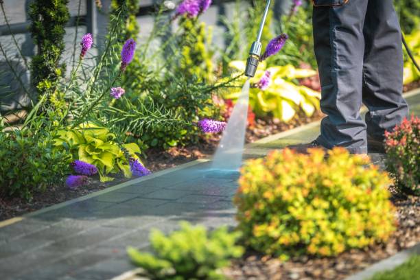 Best Roof Cleaning and Mildew Removal in Nevada, IA