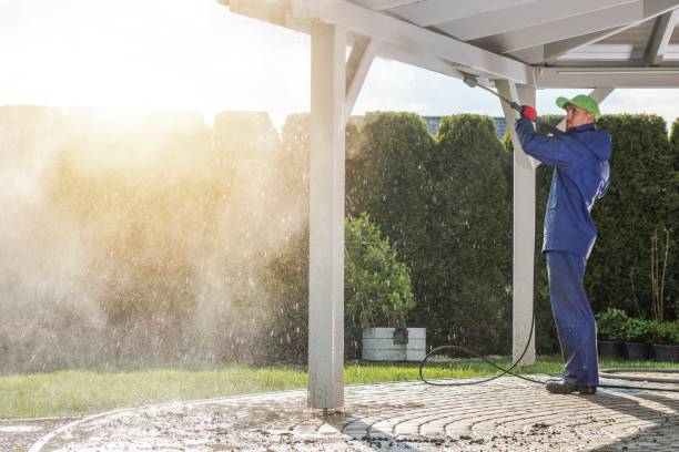 Best Vinyl Siding Pressure Washing in Nevada, IA
